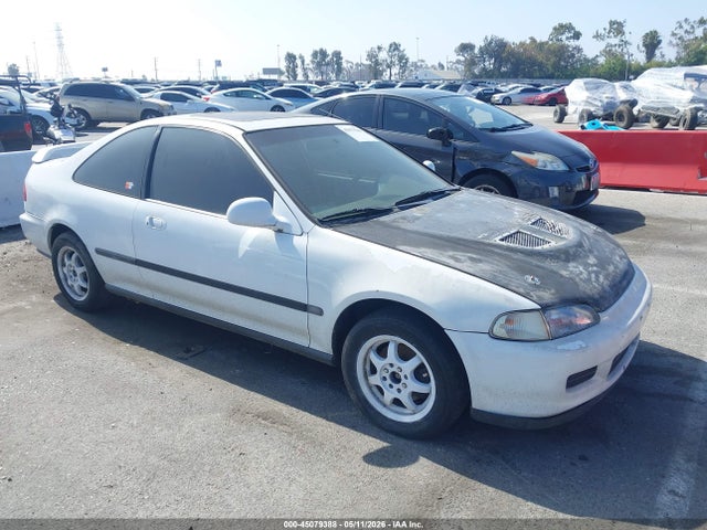 Salvage Honda Civic Image