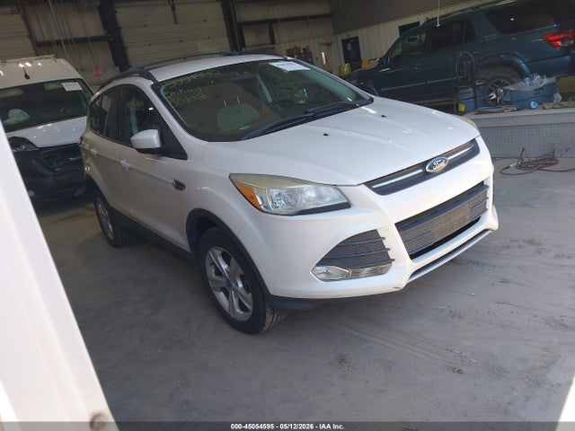 Salvage Ford Escape Image