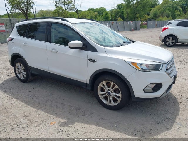 Salvage Ford Escape Image