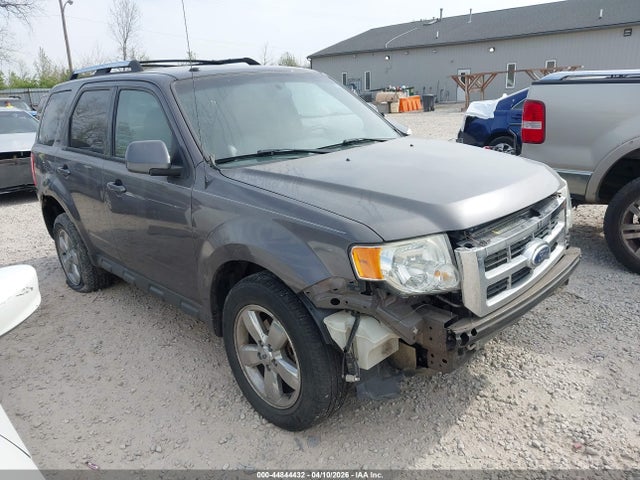 Salvage Ford Escape Image