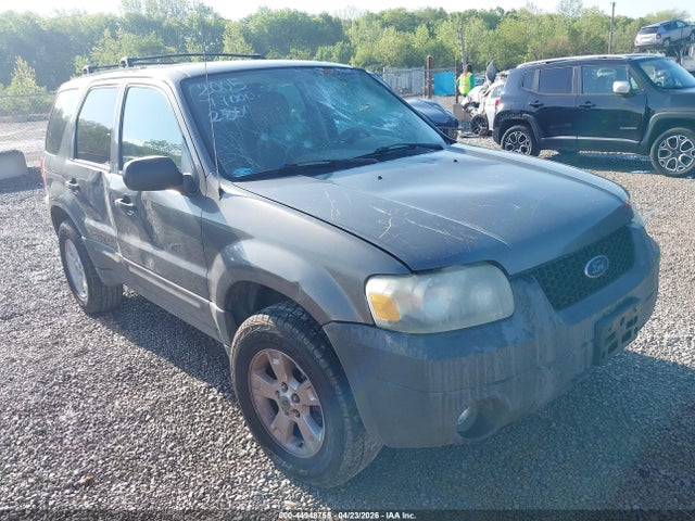 Salvage Ford Escape Image