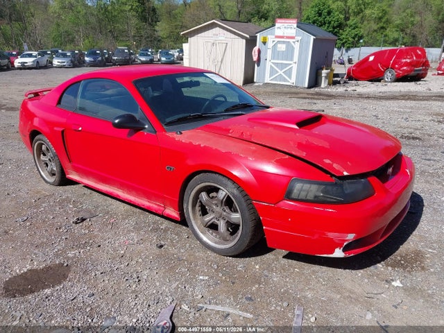 Salvage Ford Mustang Image
