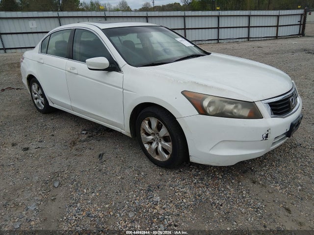 Salvage Honda Accord Image