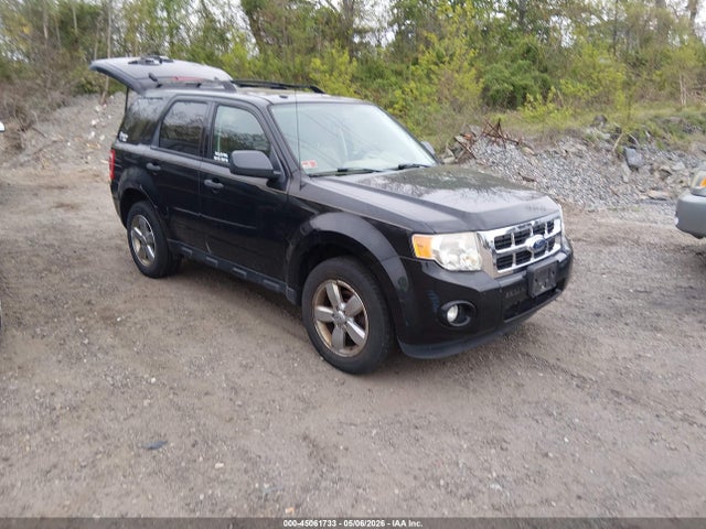 Salvage Ford Escape Image