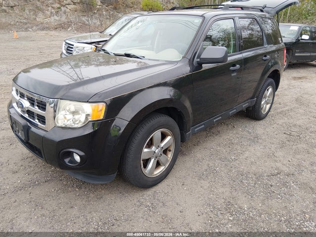 Ford Escape Xlt