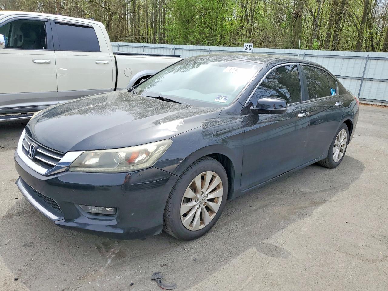 Salvage Honda Accord Image