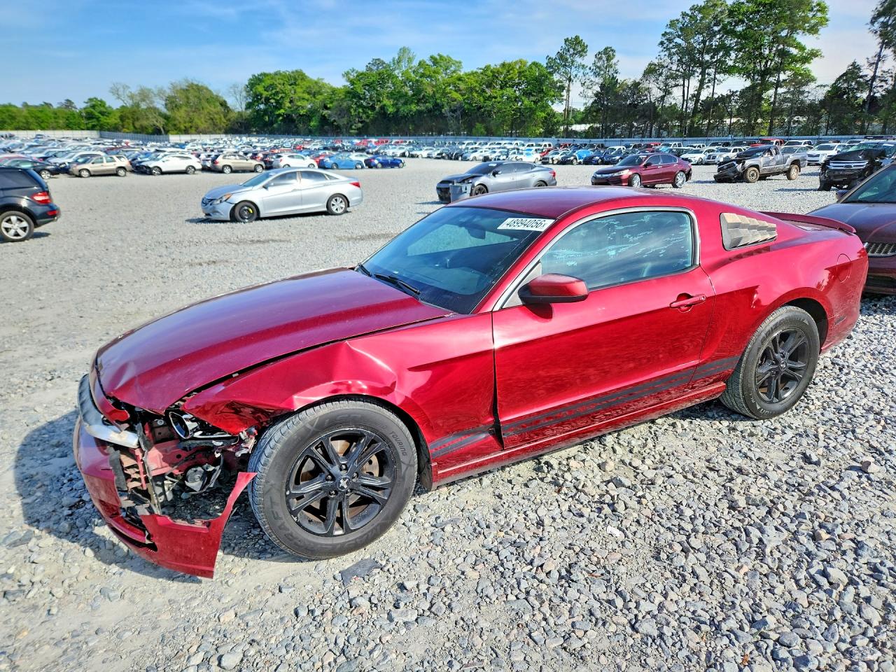 Salvage Ford Mustang Image