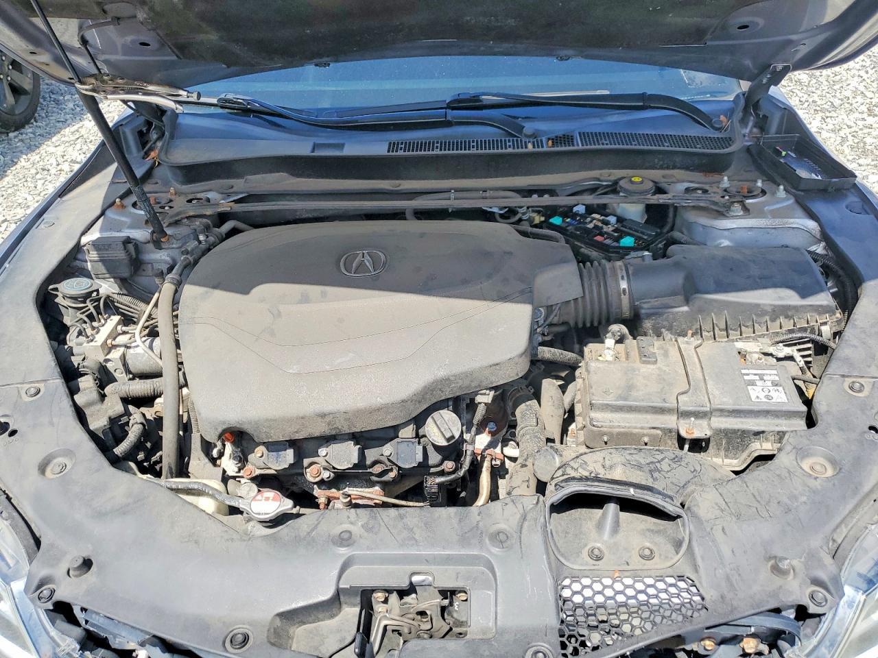 Acura TLX Tech