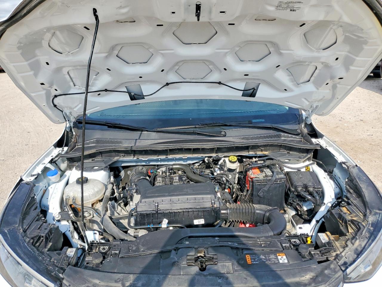 Ford Escape Active