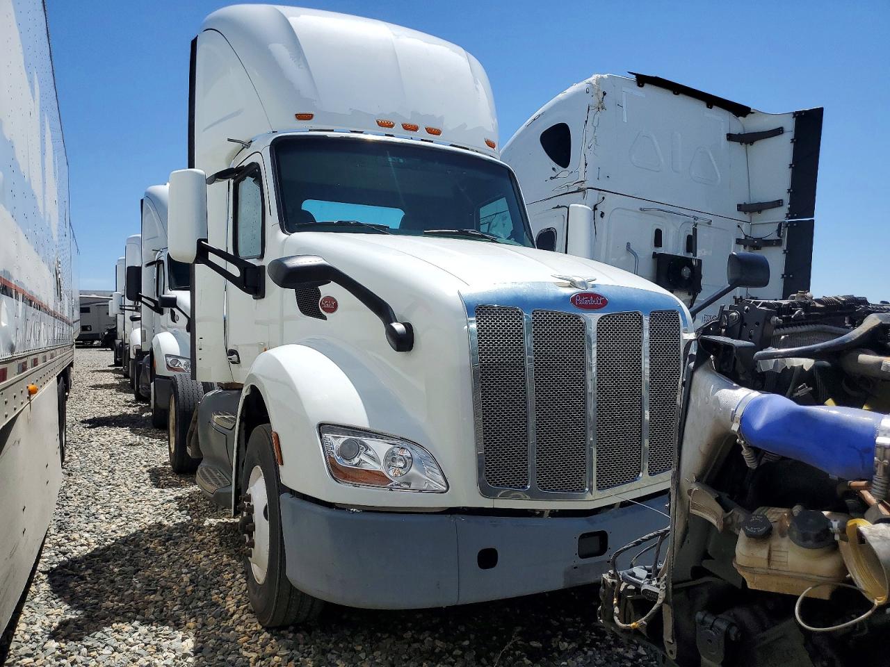 Salvage Peterbilt 579 Image