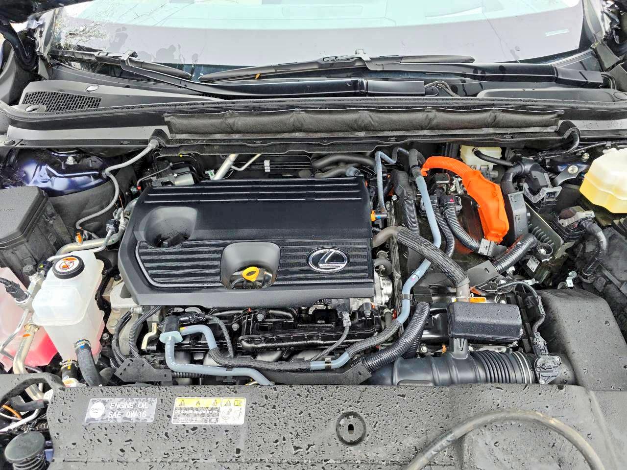 Lexus Other Premium+