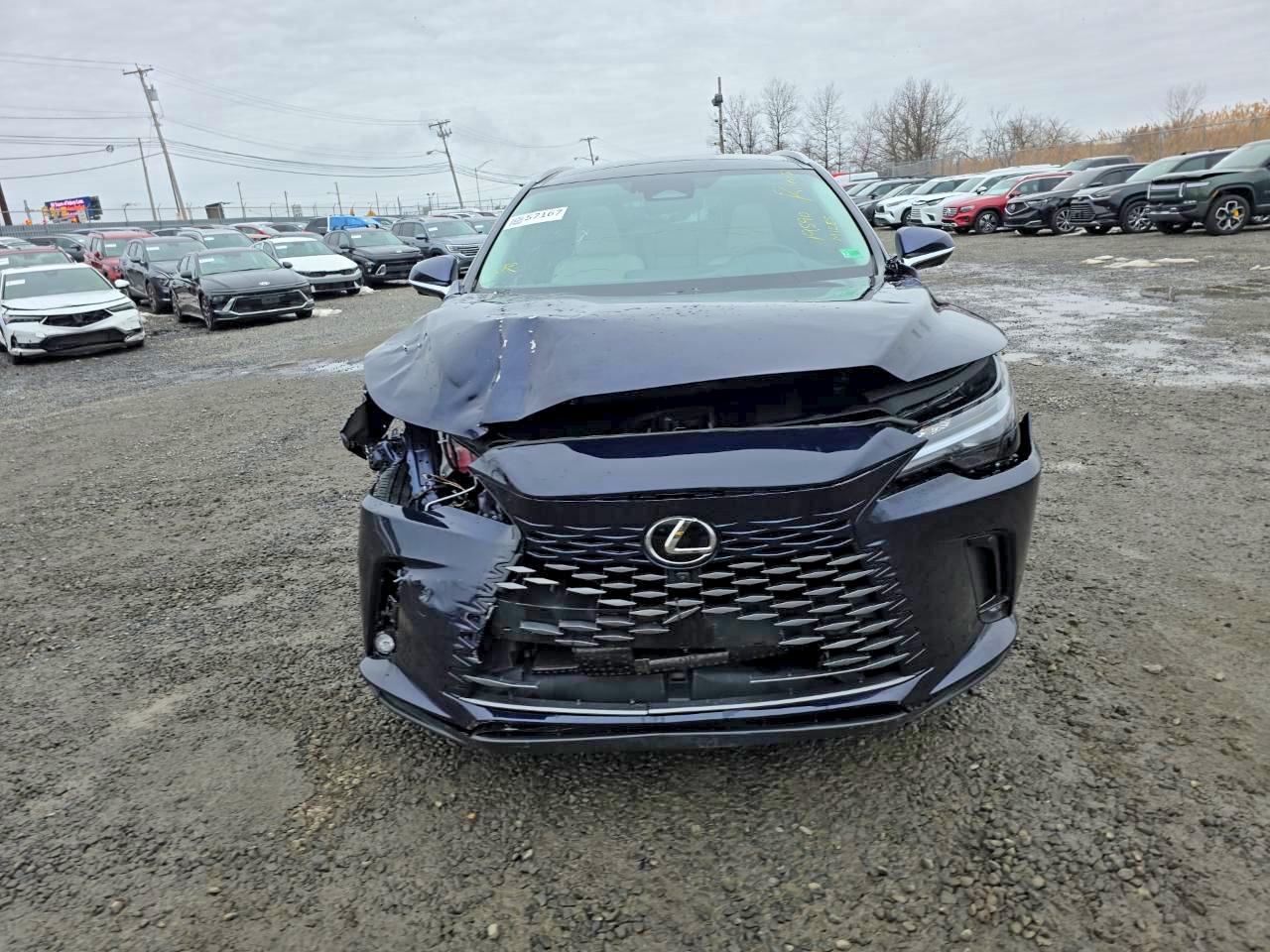 Lexus Other Premium+