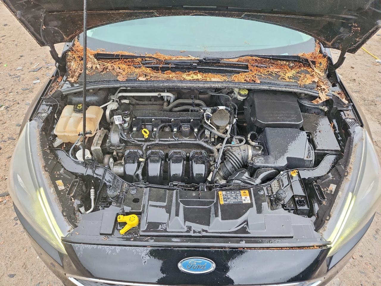 Ford Focus Se