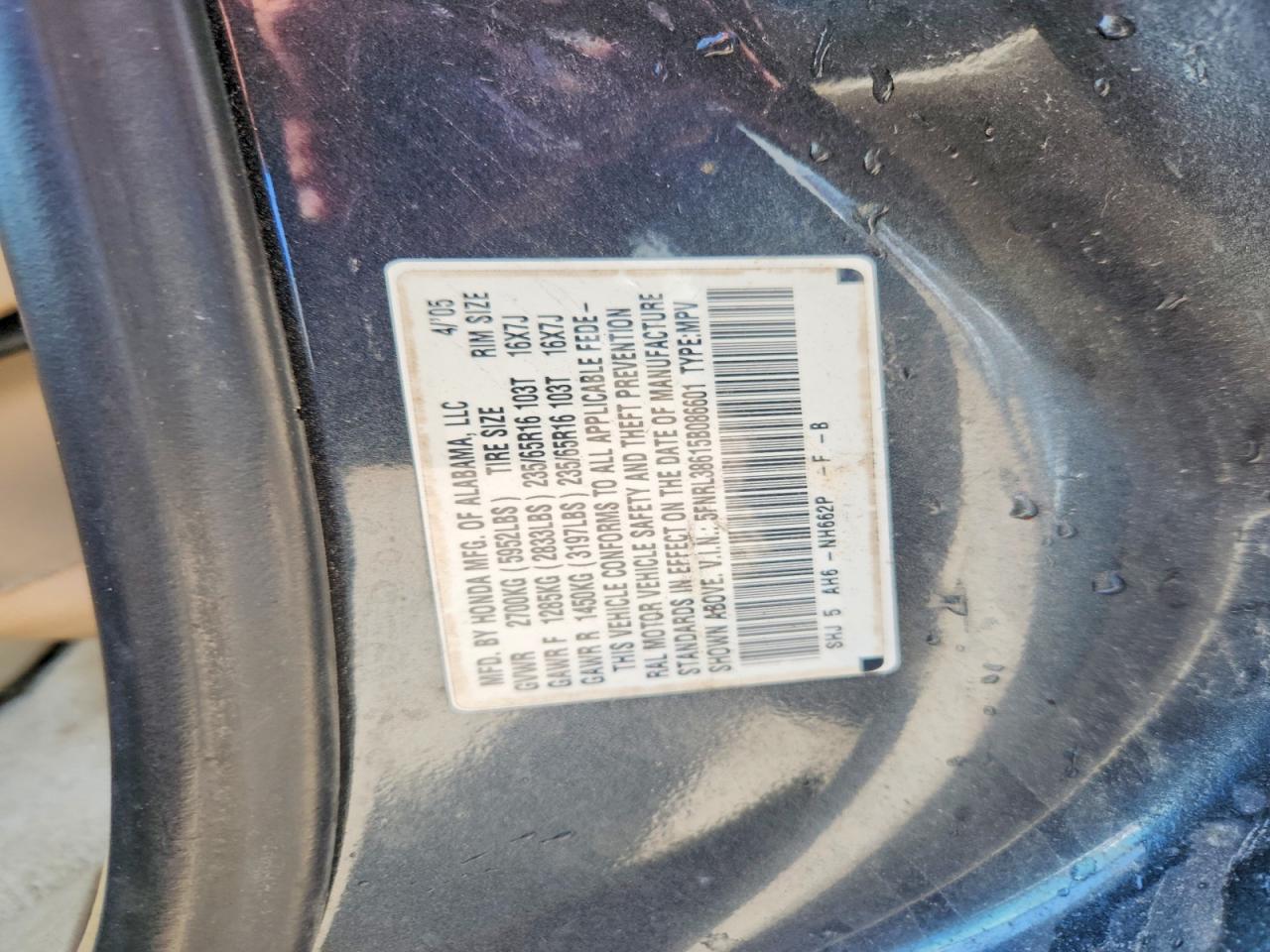 Honda Odyssey Exl
