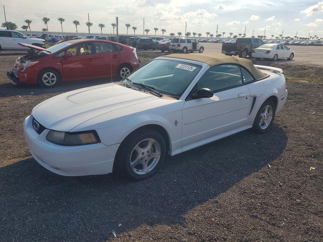 Salvage Ford Mustang Image