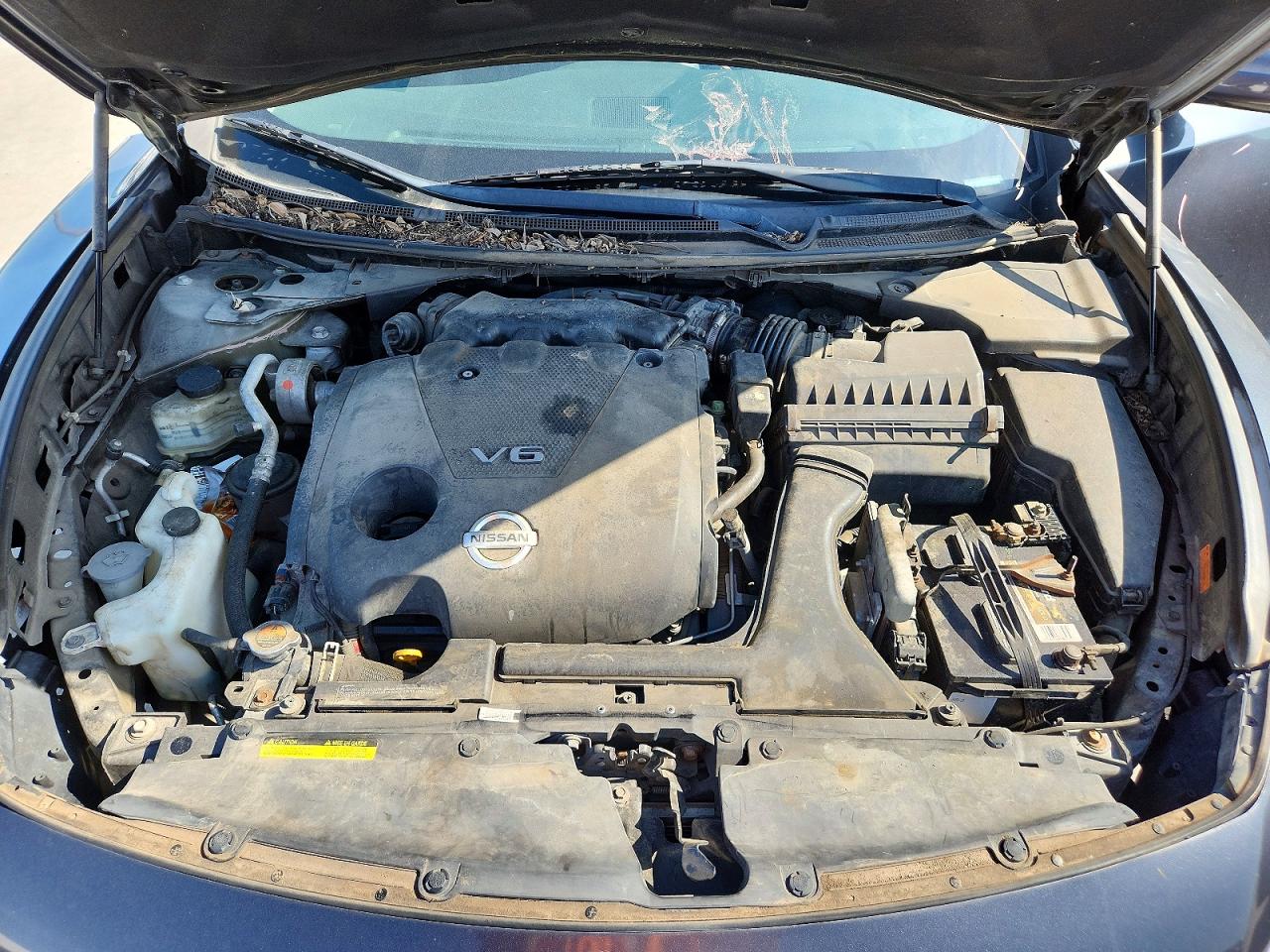 Nissan Maxima 3.5 S
