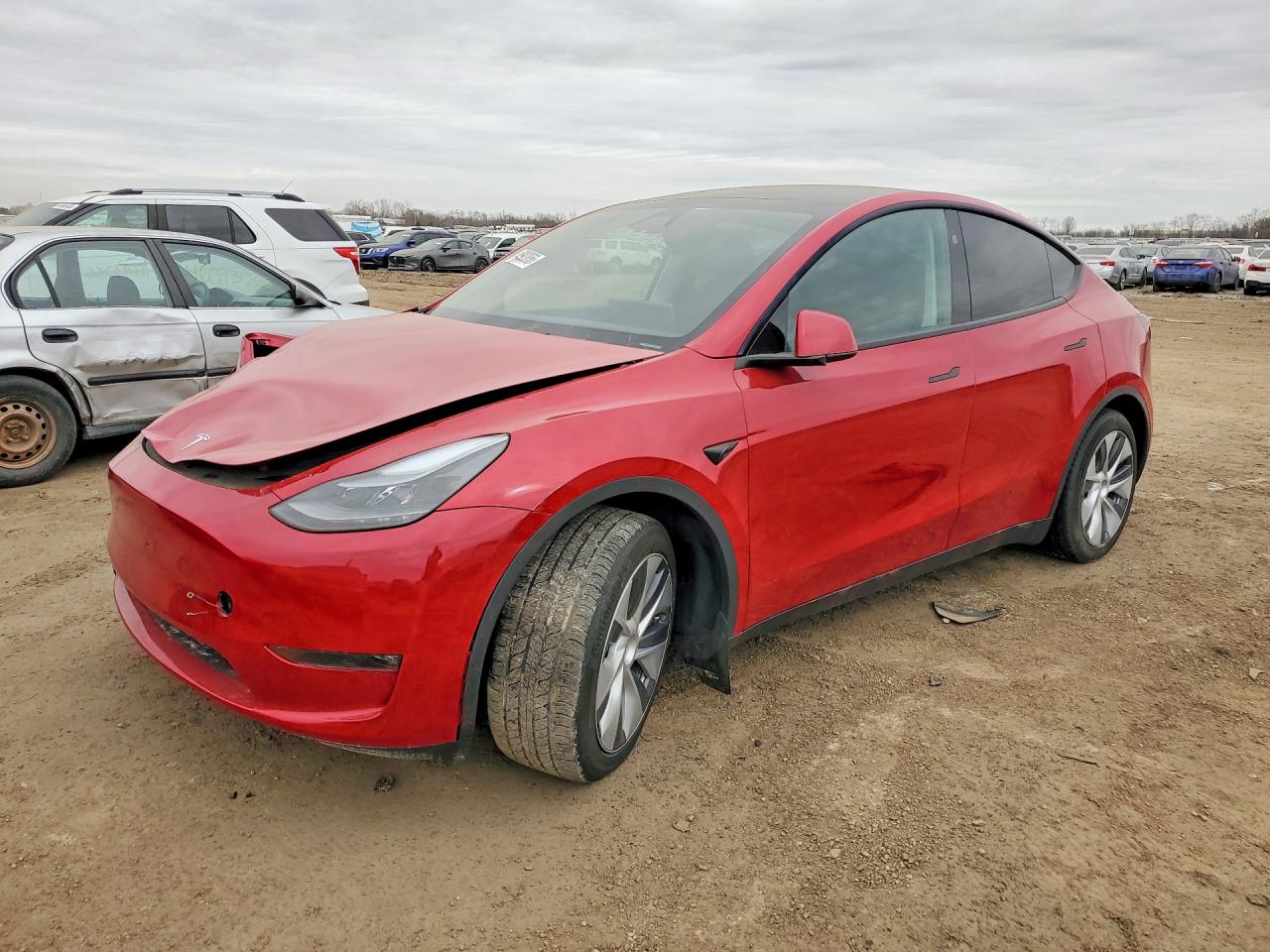 Salvage Tesla Model Y Image