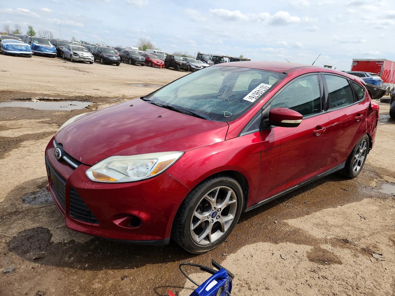 Salvage Ford Focus Image
