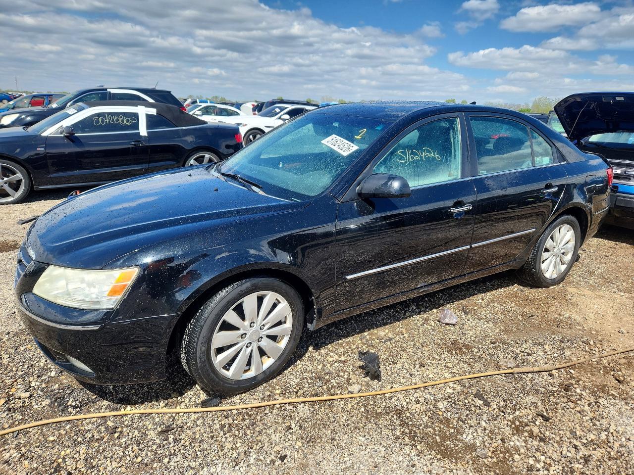 Salvage Hyundai SONATA Image
