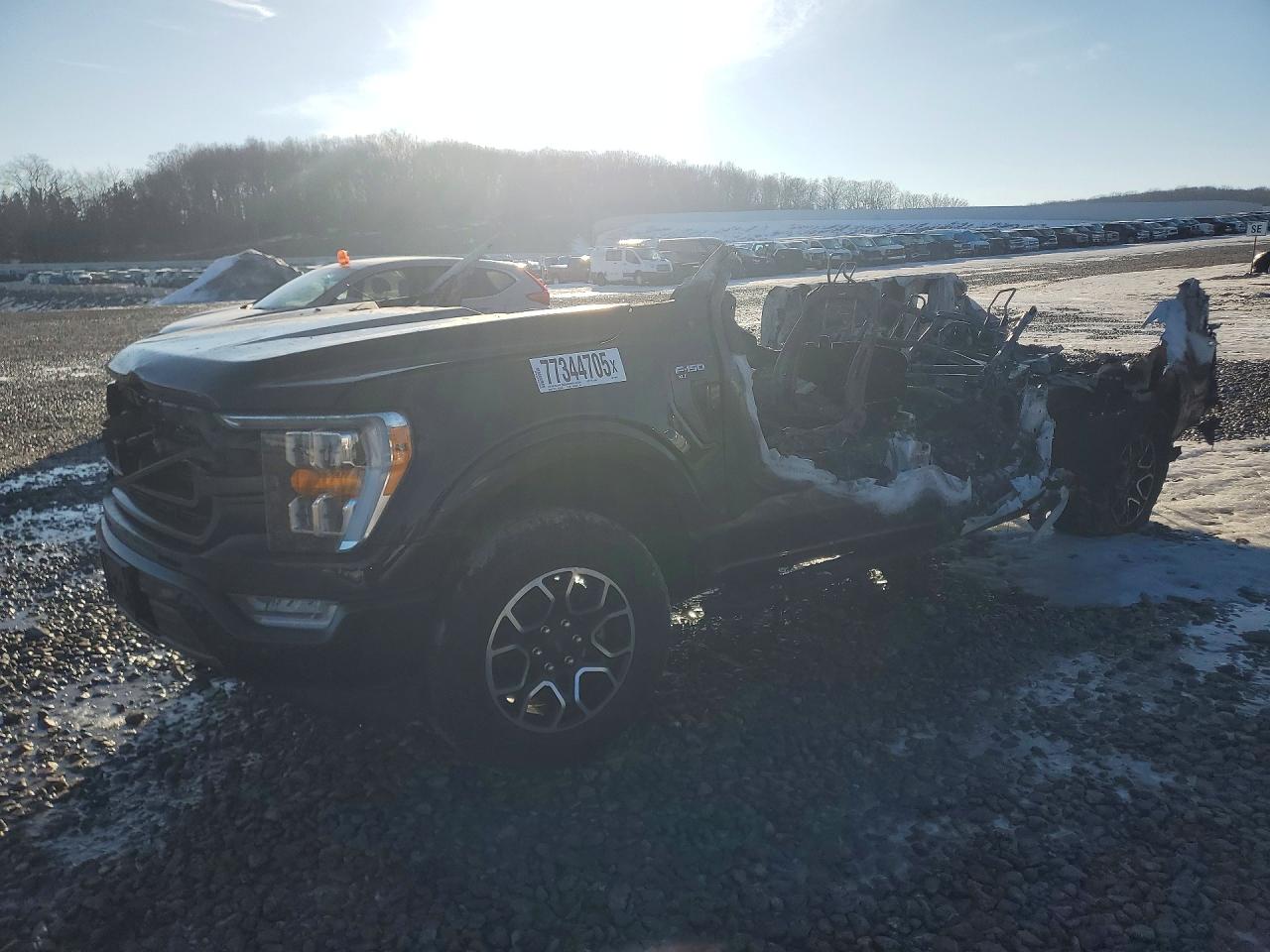 Salvage Ford F-150 Image