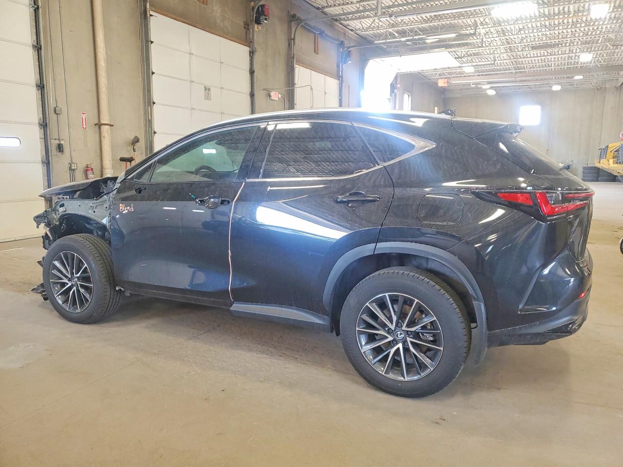 Lexus NX 350 Luxury