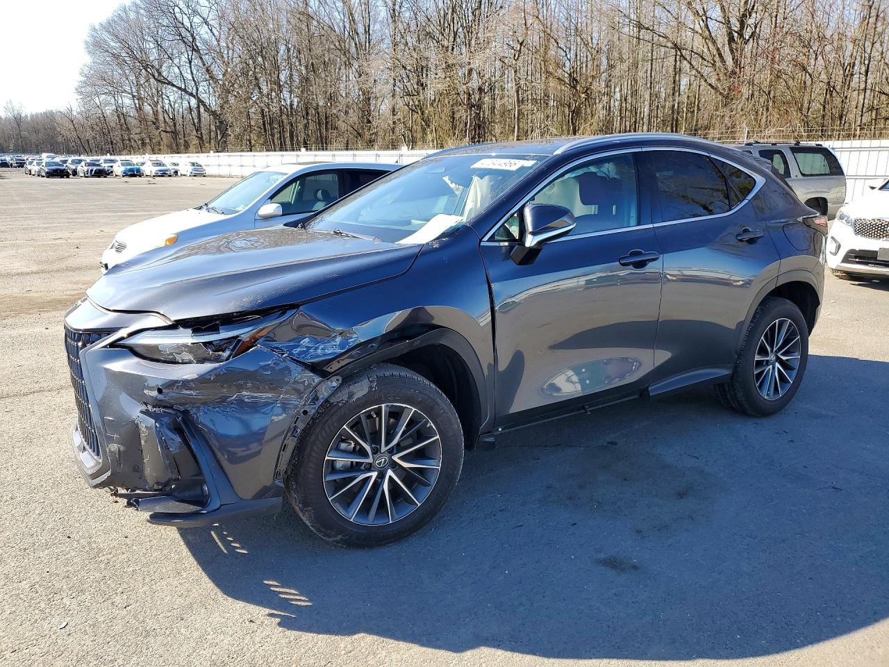 Salvage Lexus NX Image