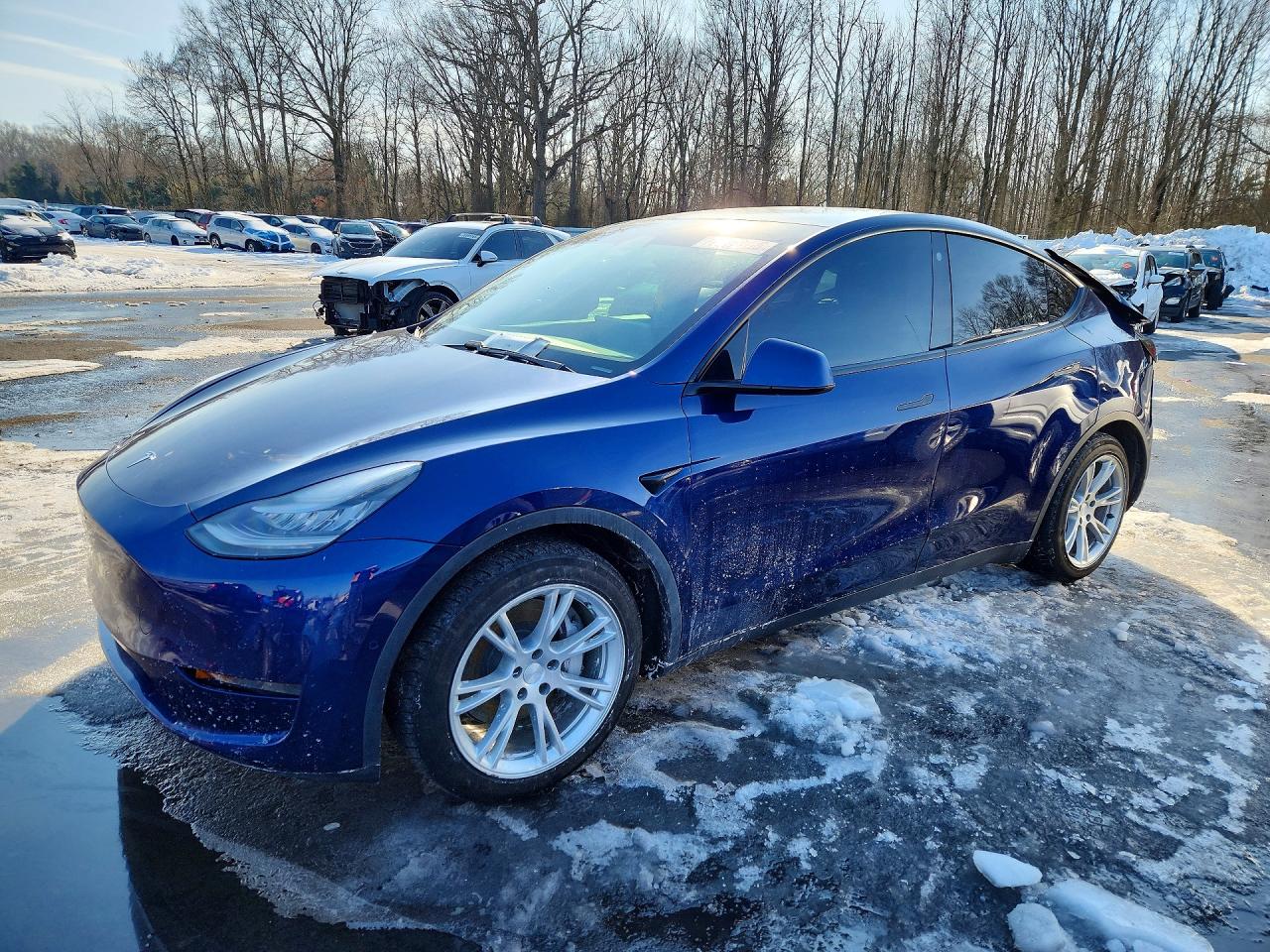 Salvage Tesla Model Y Image