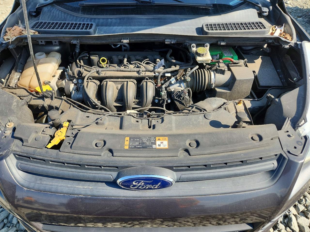Ford Escape S