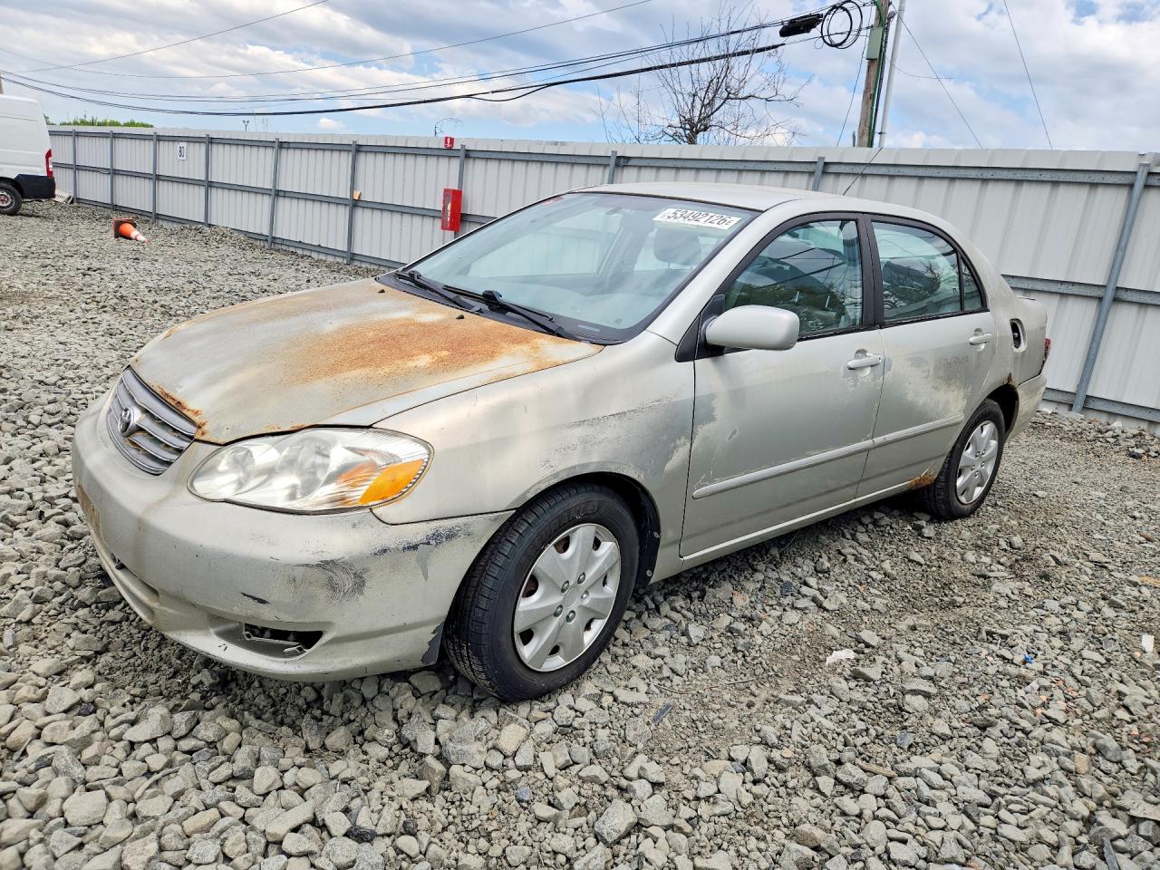 Salvage Toyota Corolla Image