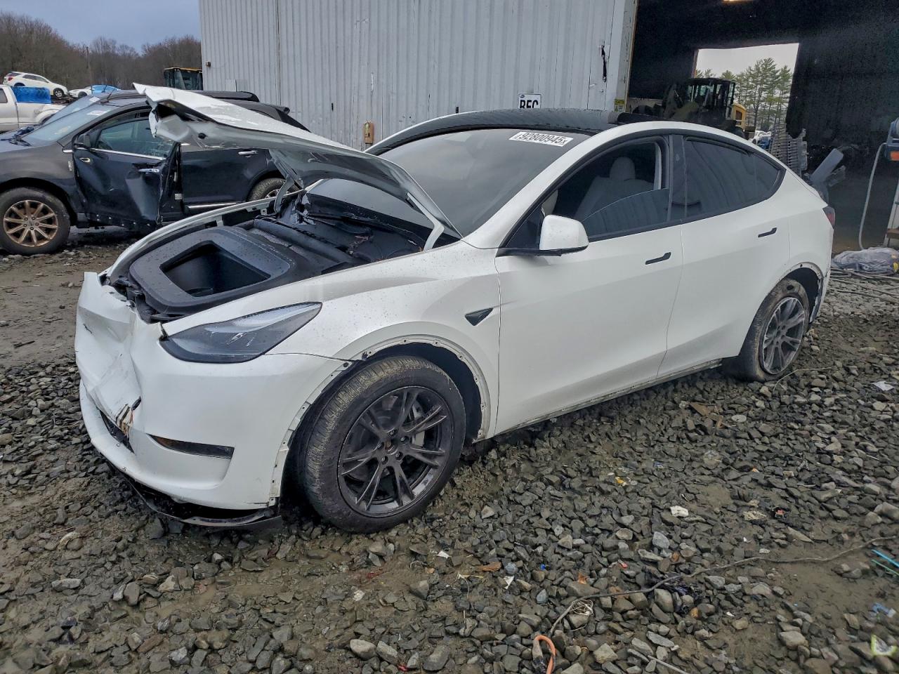 Salvage Tesla Model Y Image