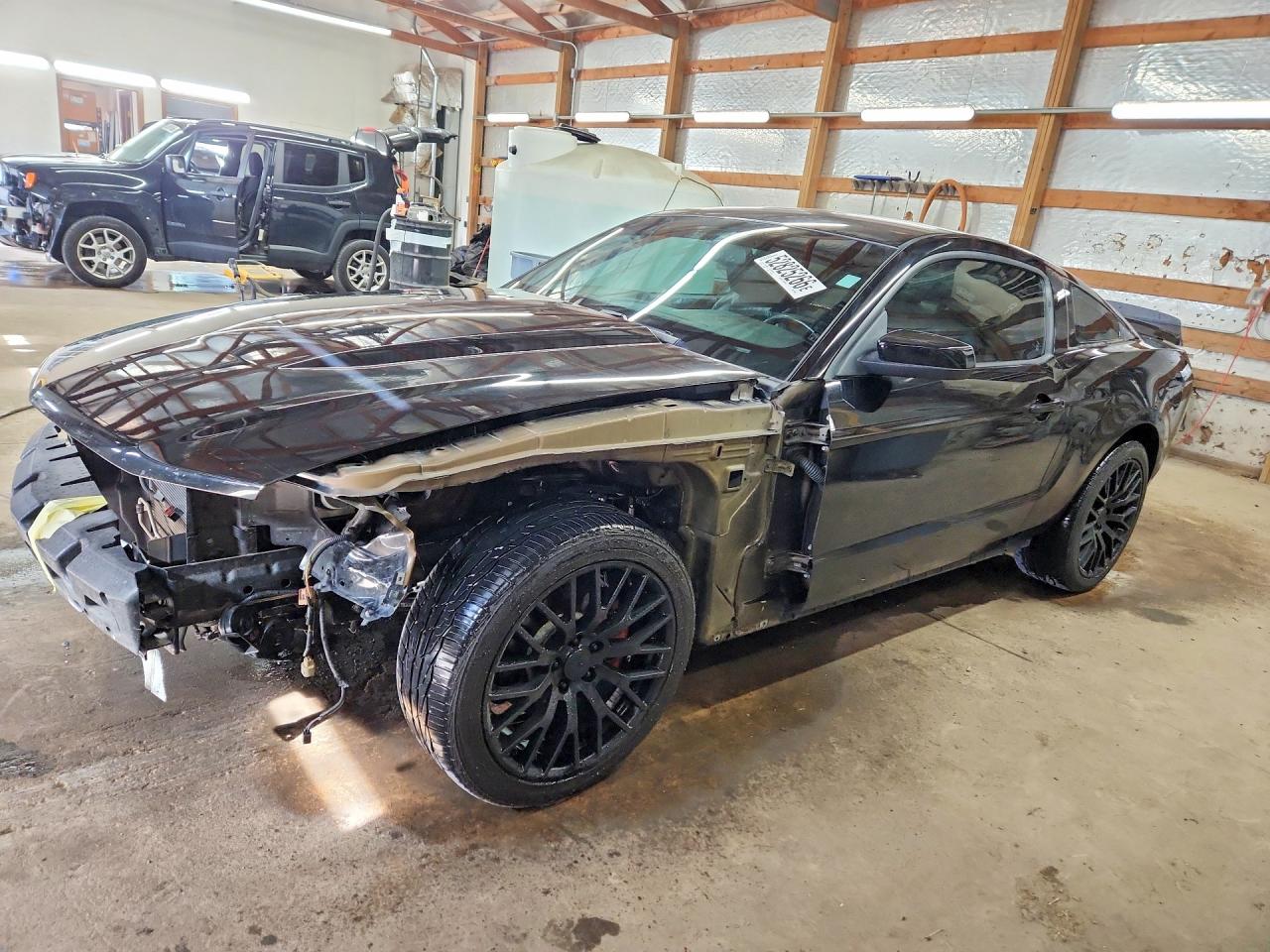 Salvage Ford Mustang Image