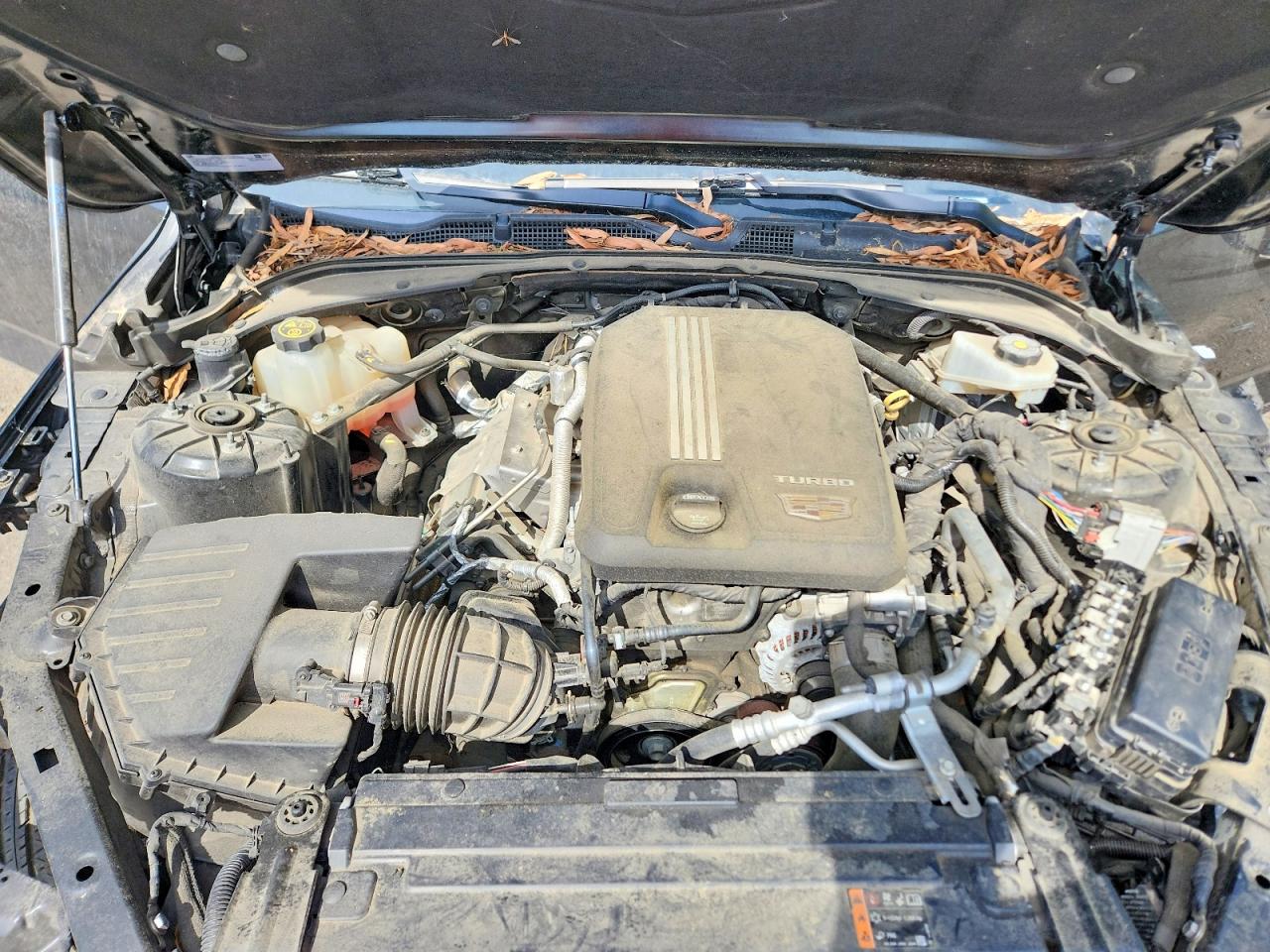 Cadillac CT4
