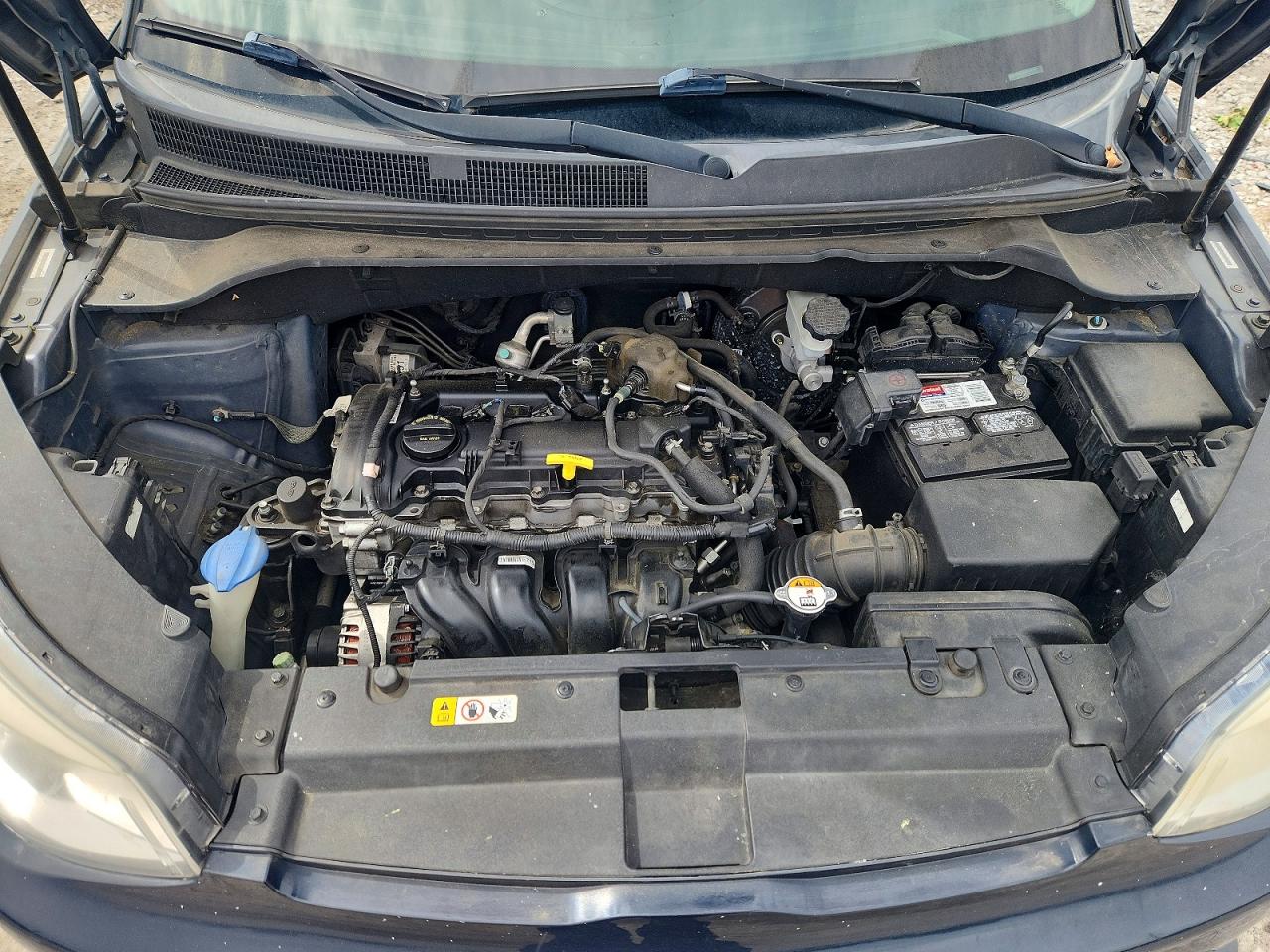 Kia Soul +