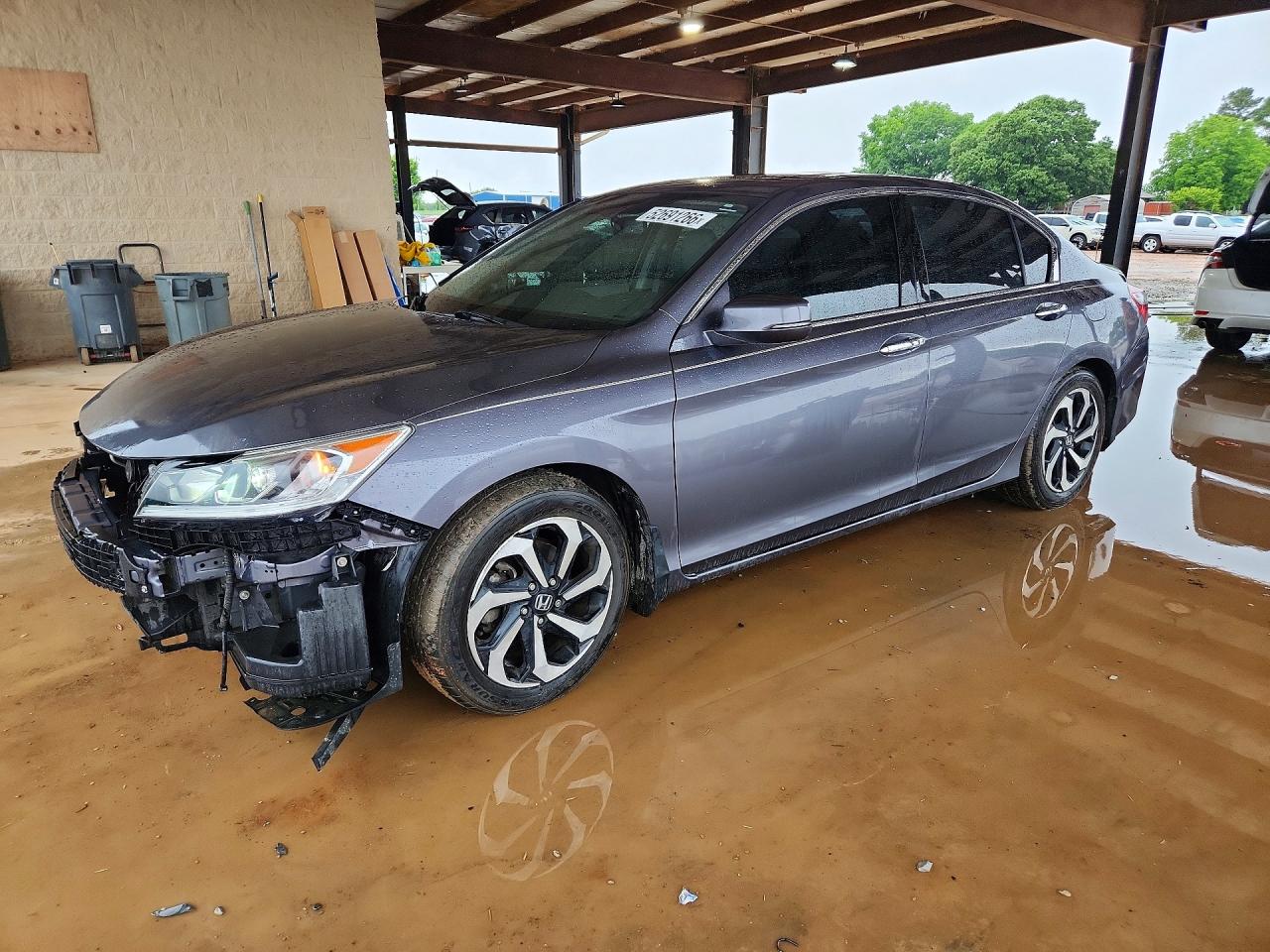 Salvage Honda Accord Image