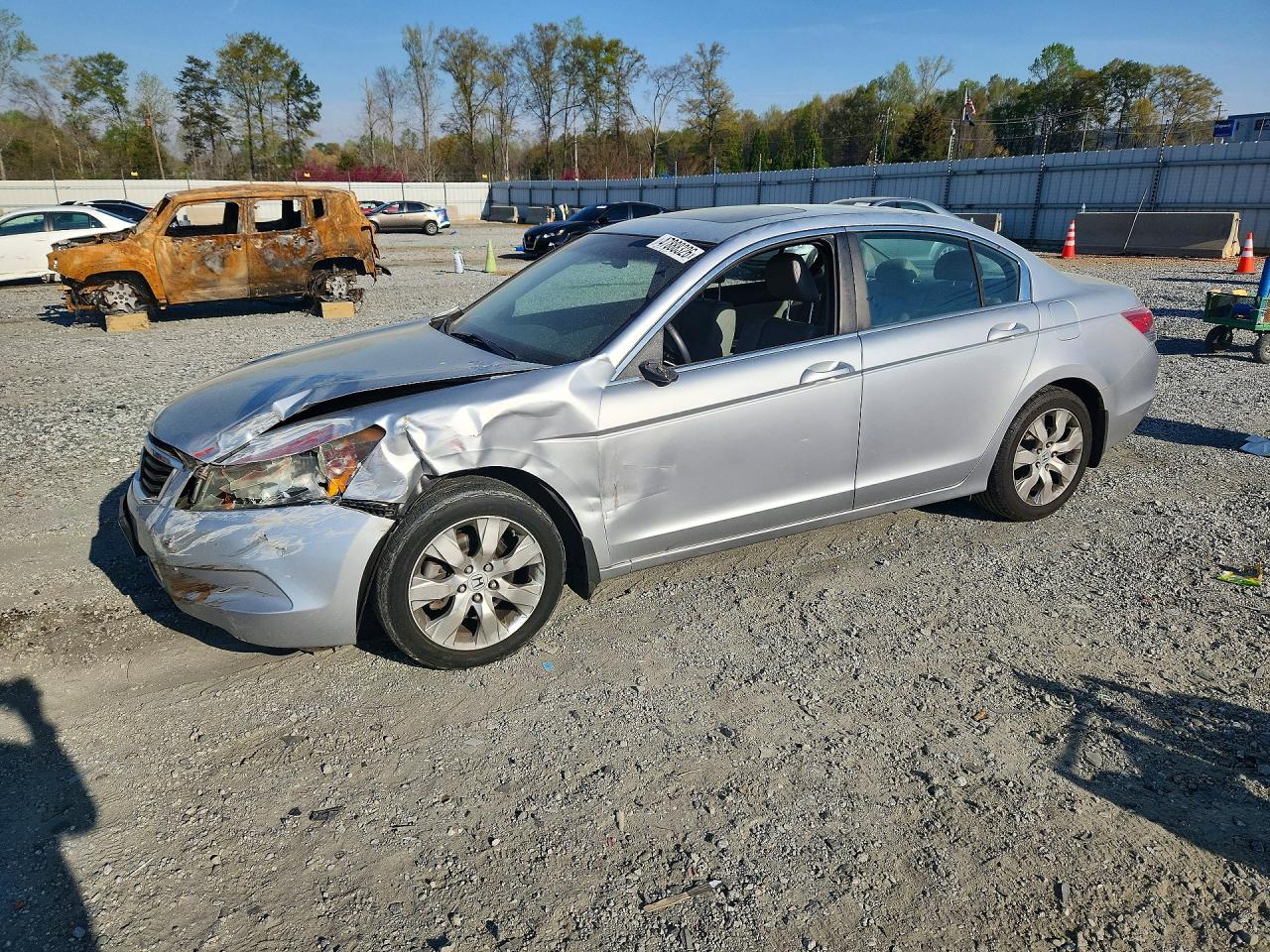 Salvage Honda Accord Image