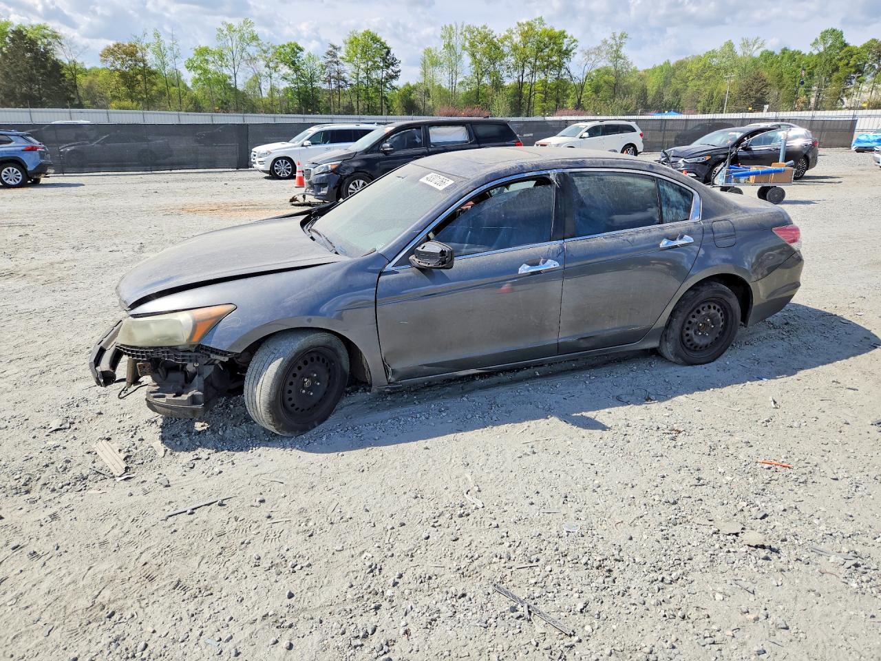 Salvage Honda Accord Image