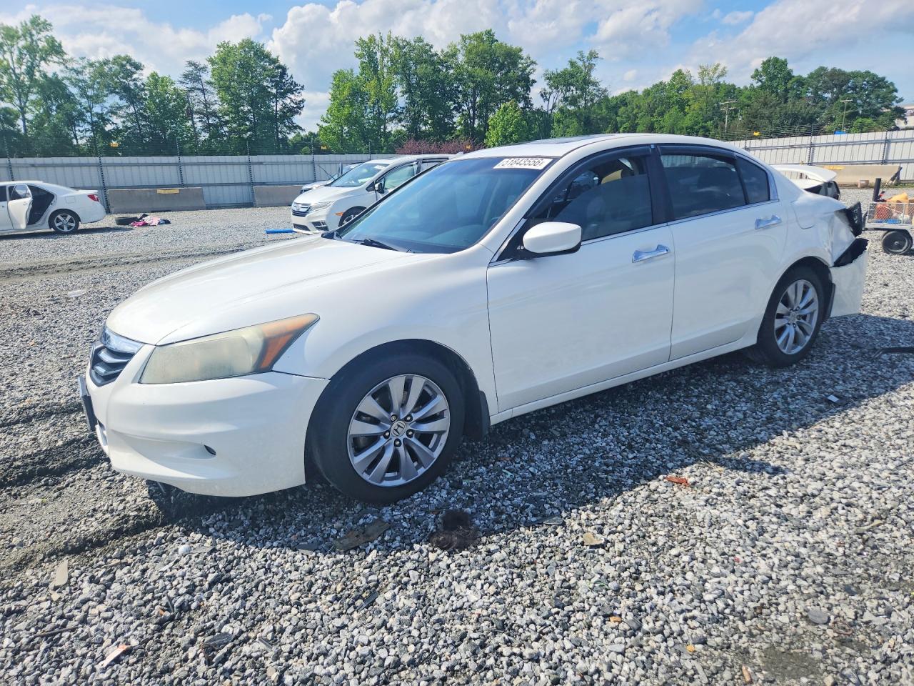 Salvage Honda Accord Image