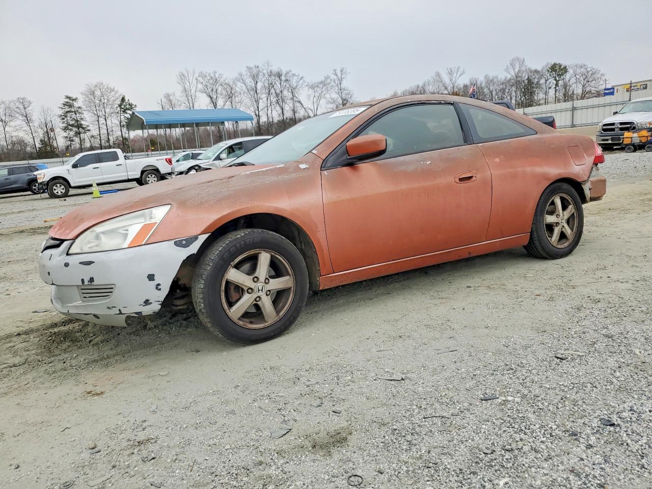 Salvage Honda Accord Image