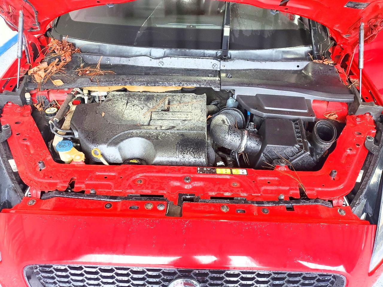 Jaguar Etype Se