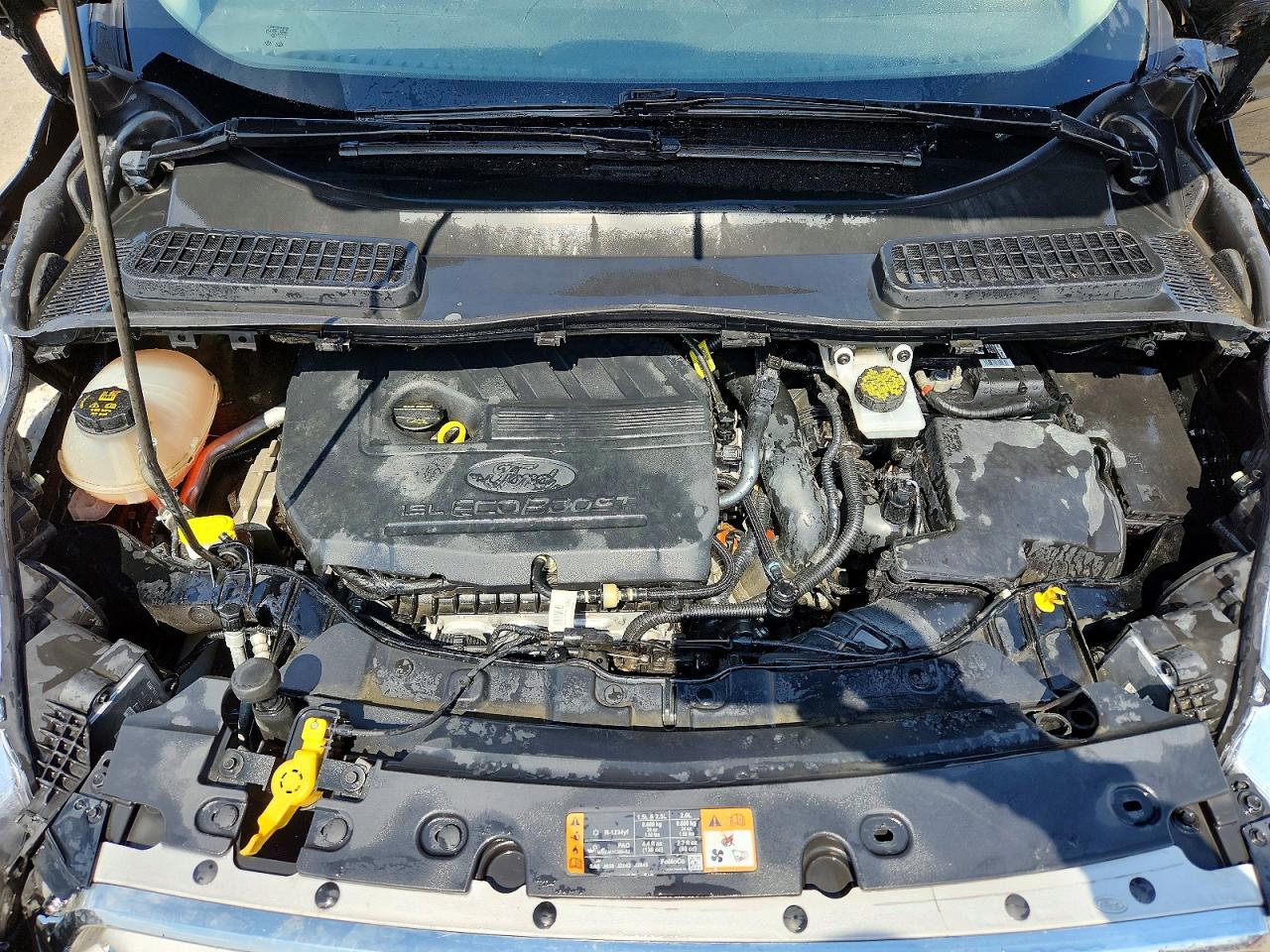 Ford Escape Sel