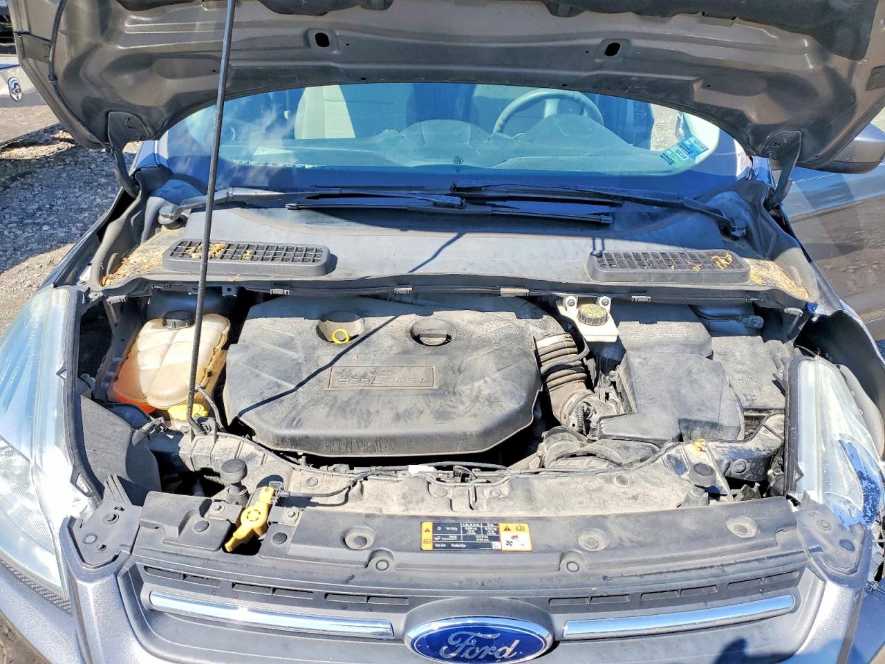 Ford Escape Se