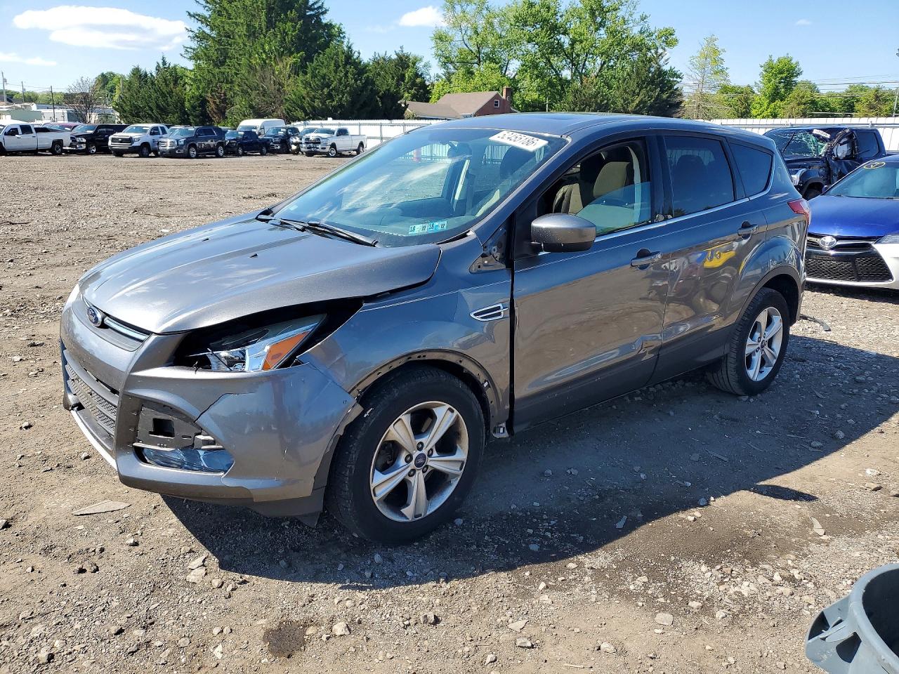Salvage Ford Escape Image
