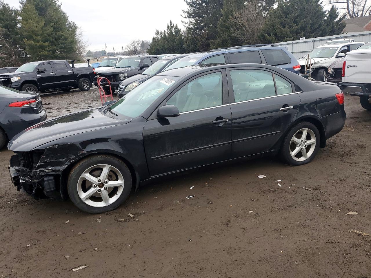 Salvage Hyundai SONATA Image