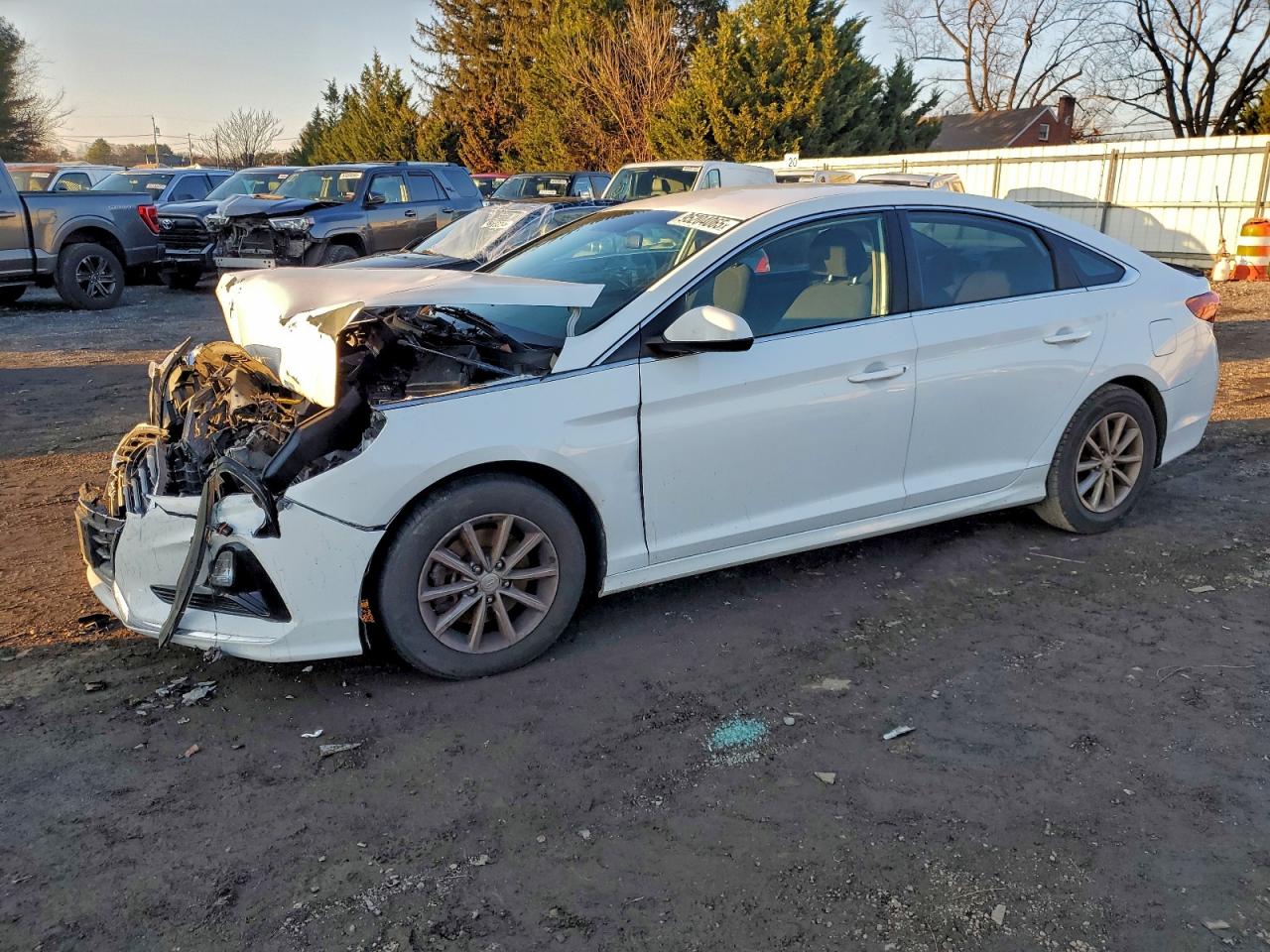 Salvage Hyundai SONATA Image