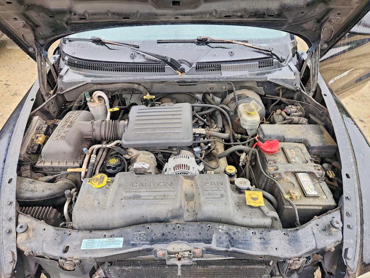 Dodge Dakota Quad
