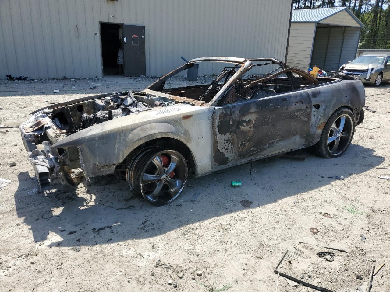 Salvage Ford Mustang Image