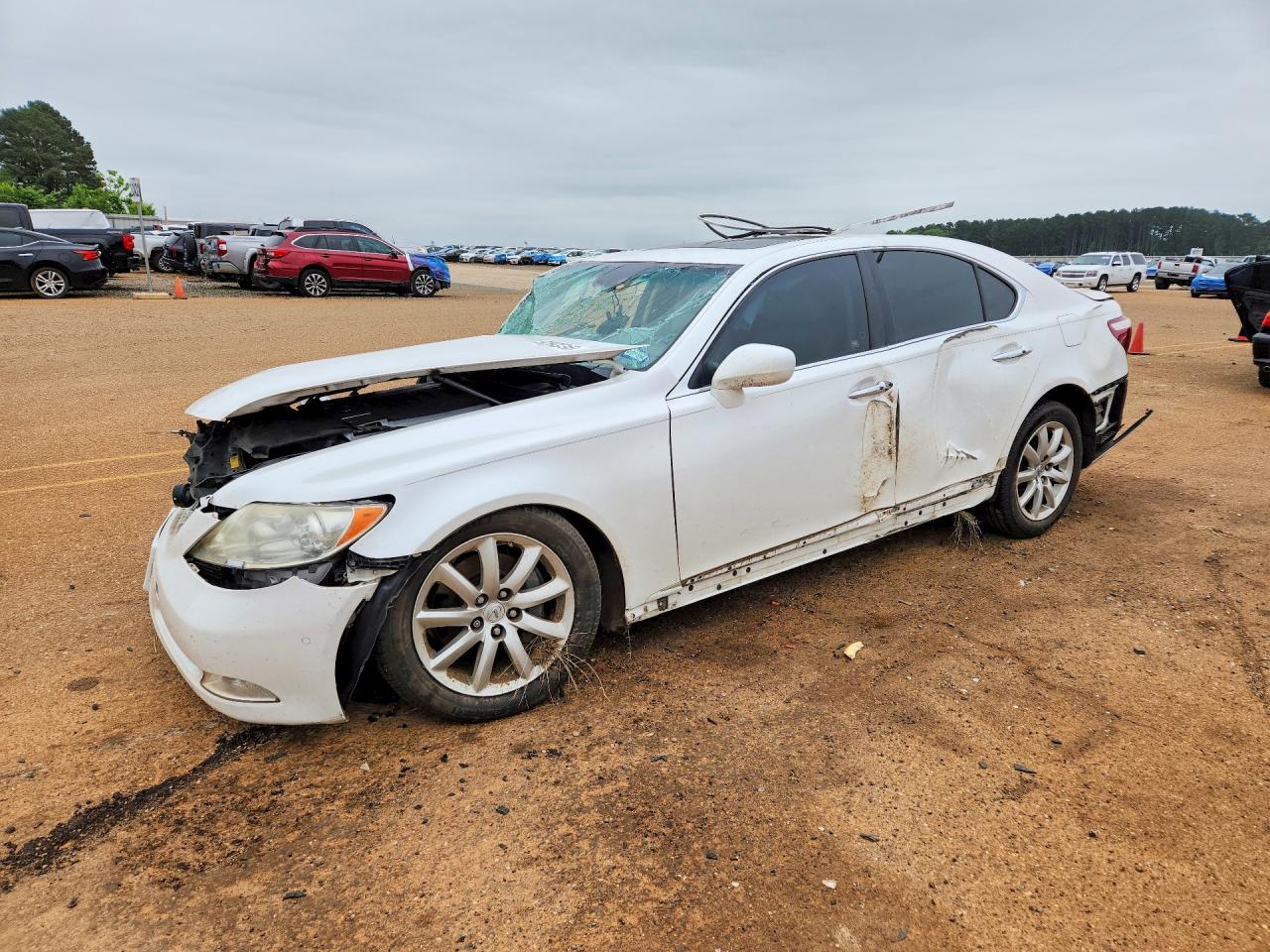 Salvage Lexus LS Image