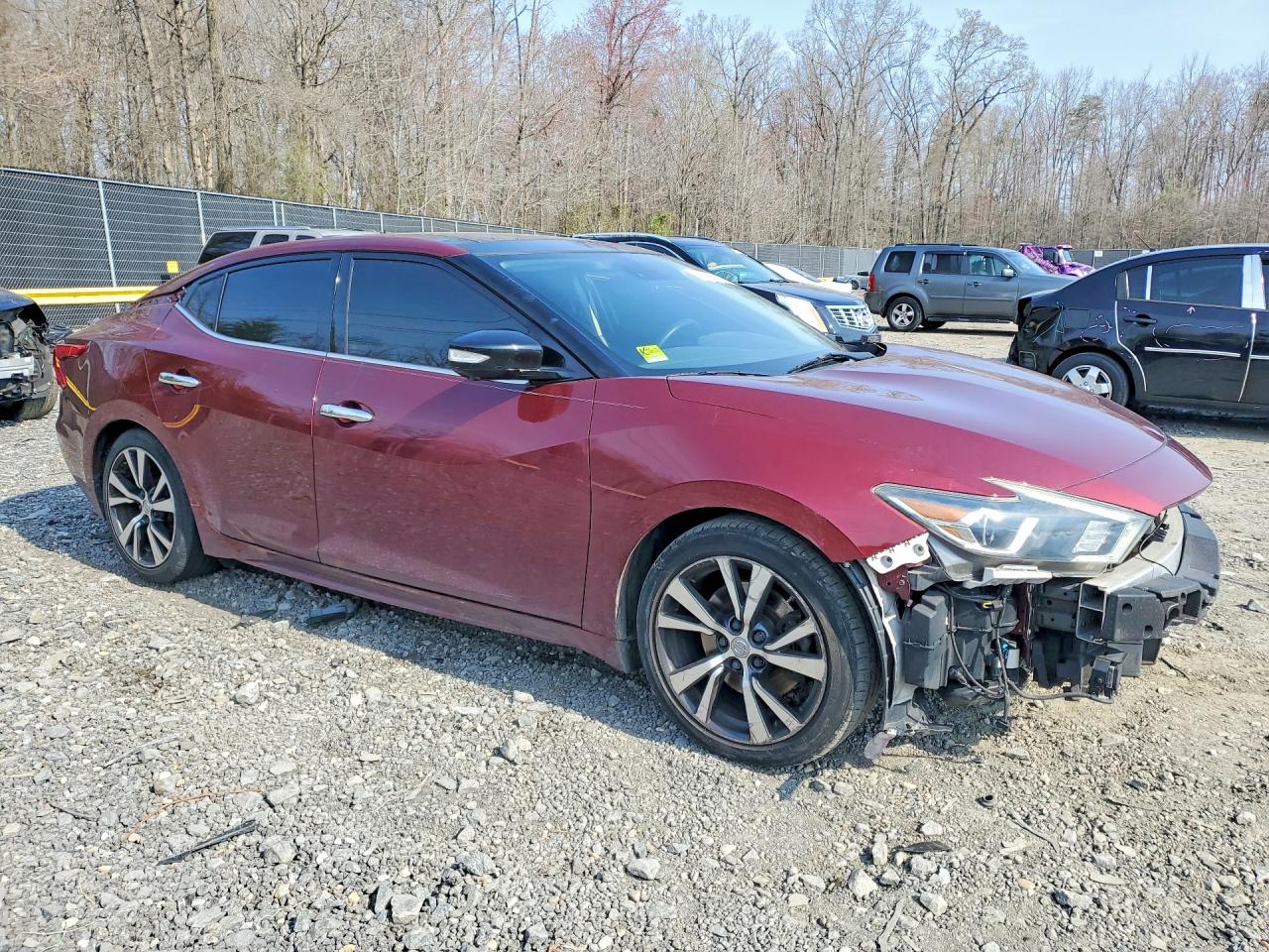 Nissan Maxima Platinum