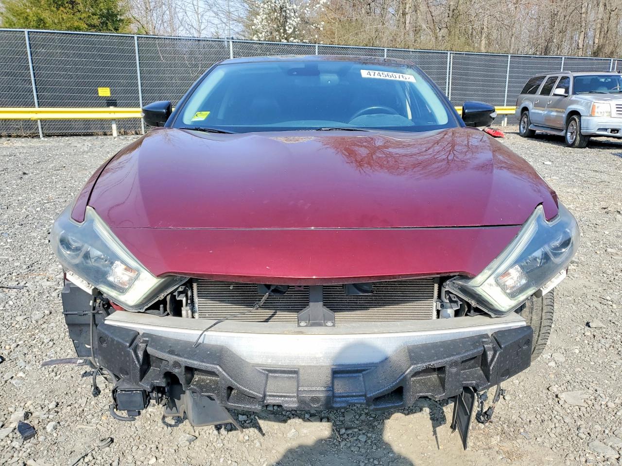 Nissan Maxima Platinum