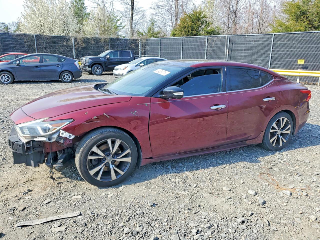 Salvage Nissan Maxima Image